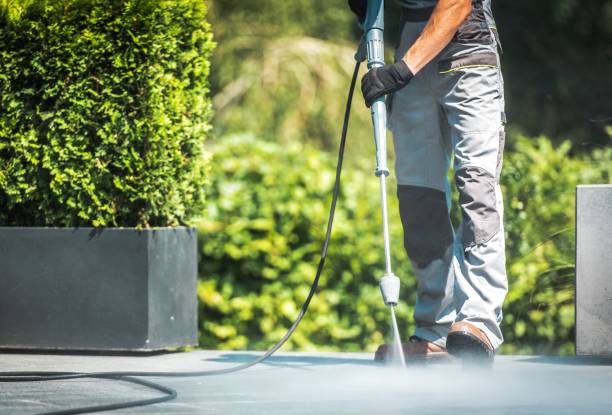 Best Boat and Dock Cleaning  in Edmonds, WA