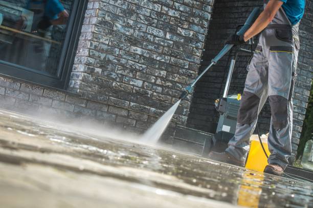 Best Fence Cleaning  in Edmonds, WA